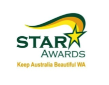 Star Awards Logo